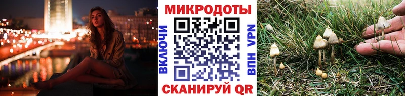 купить закладку  Олонец  Псилоцибиновые грибы Cubensis 